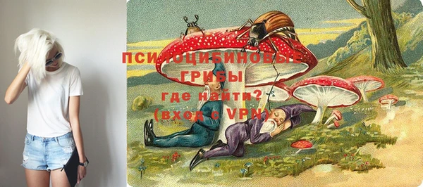 ешки Алзамай