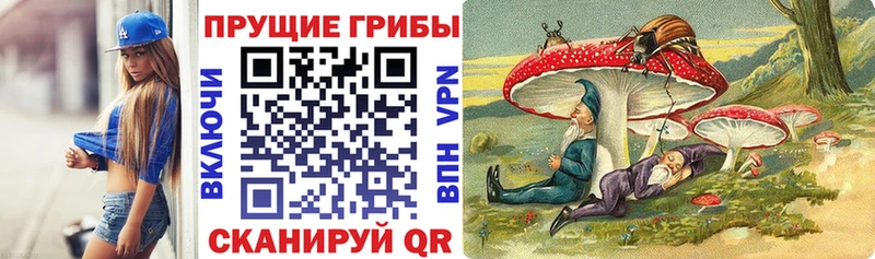цены наркотик  Зарайск  Псилоцибиновые грибы мухоморы 